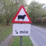 torok_sandor_photo_12